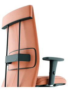 Cavaletti Leef: Contemporary Corporate Chair Well Constructed