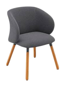 CVBEE36706CEC175: Gray Fixed Chair