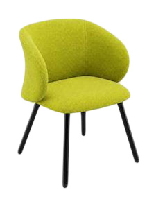 CVBEE36707Pol181P: Pistachio Fixed Chair with Metal Legs Excellent