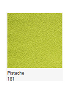 CVBEE36707Pol181P: Pistachio Fixed Chair with Metal Legs Good