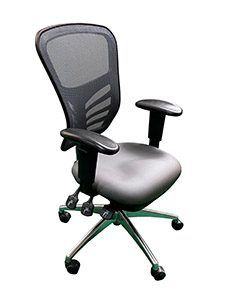 PM9020LGY - Mesh Multifunction Executive Ergonomic Chair