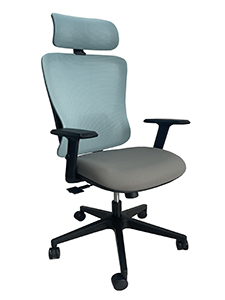PM9411GY: Ergonomic Office Chairs with Head Rest