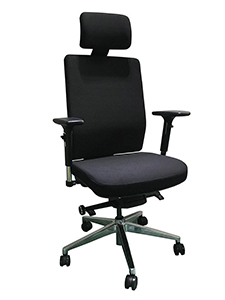 SM01 - Fully Adjustable Ergonomic Chair to Fit Your Body Yype