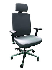 SM01: Fully Adjustable Ergonomic Chair Good
