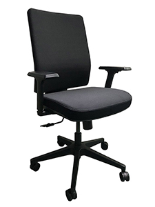 SM02 - Ergonomic and Adjustable Task Chair - Black Nylon Base